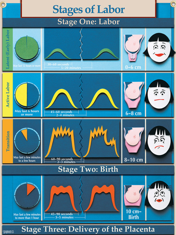 Stages of Labor Revised